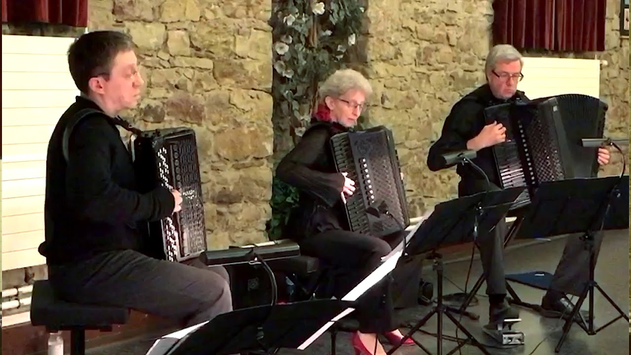 Zubitsky Ukrainian Folk Dances ACCORDION Rizol Зубицкий Веснянка Різоль Duo FINKpositiv & Kurylenko
