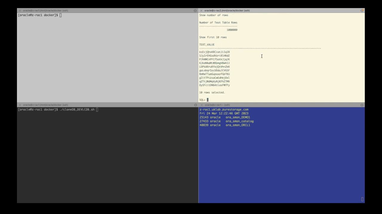 Fully automated Oracle 19c database clone to Docker container