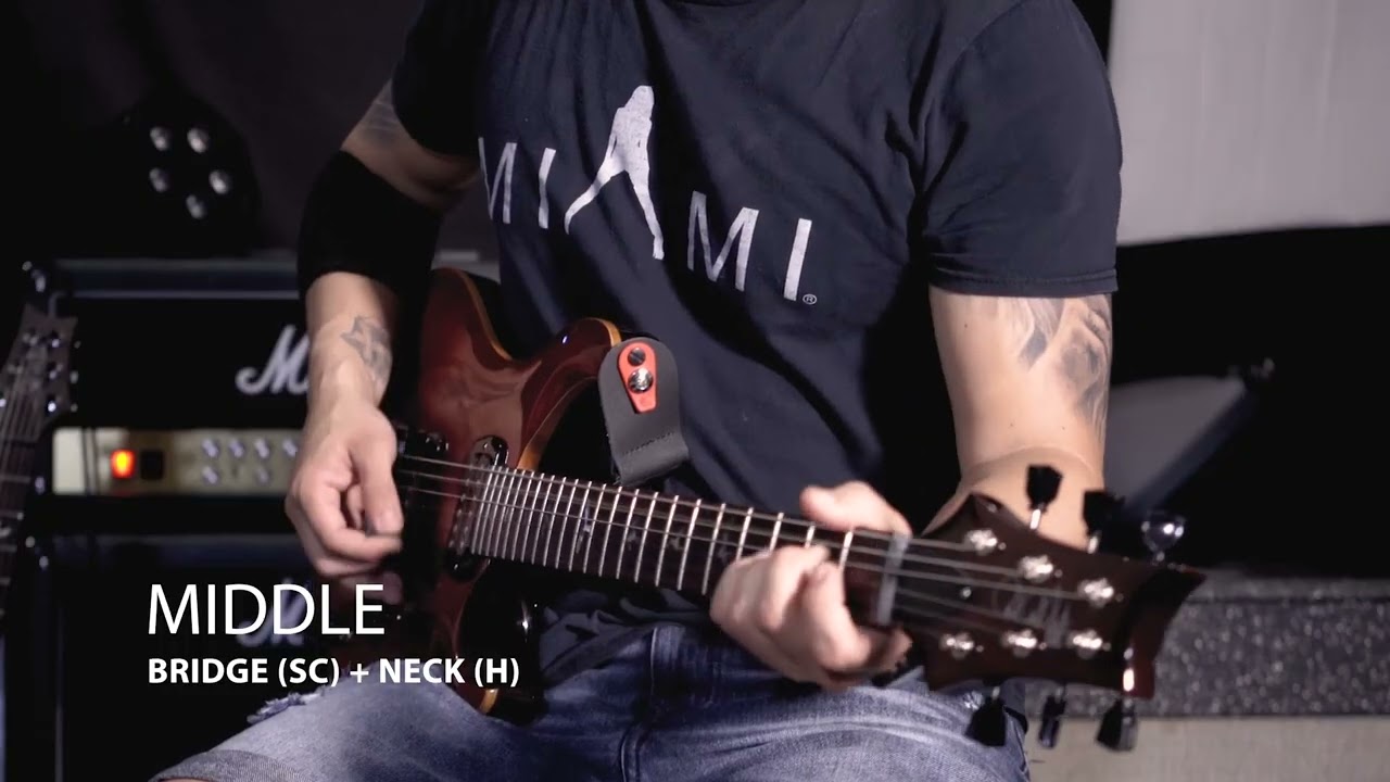 PRS SE Paul's Guitar - Clean / overdrive /distortion 1 / distortion 2