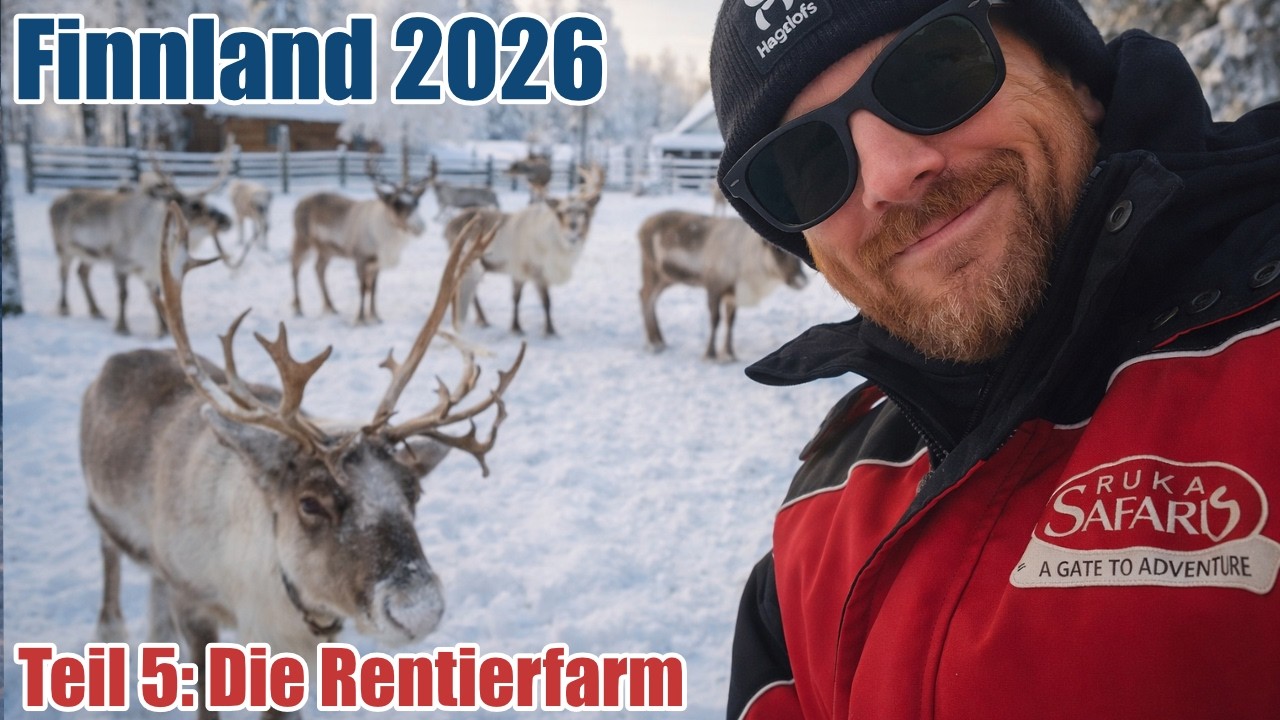 Rentierfarm in Finnland & Schlittenfahrt | Traditionelles Dinner | Finnland Reisevlog Teil 5