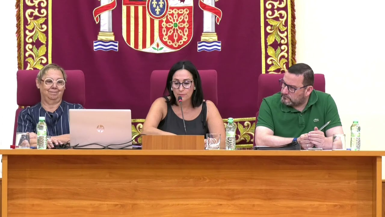 2025 07 25 PLENO EXTRAORDINARIO mes de Julio