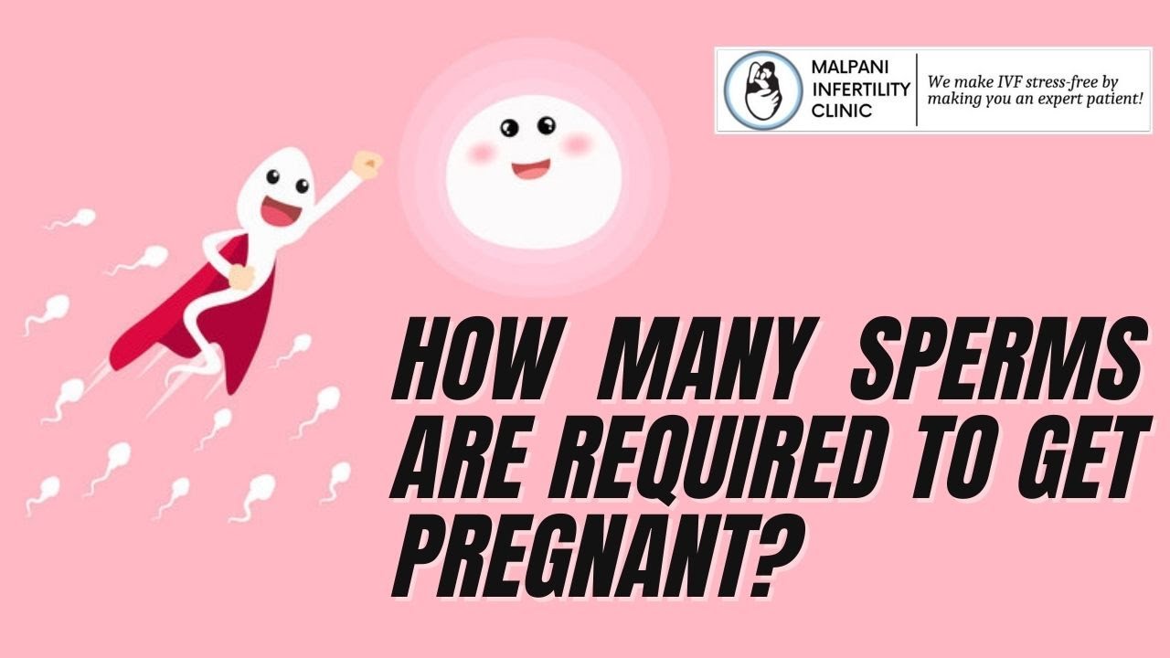 Sperm Count: How many sperms are needed for Pregnancy?