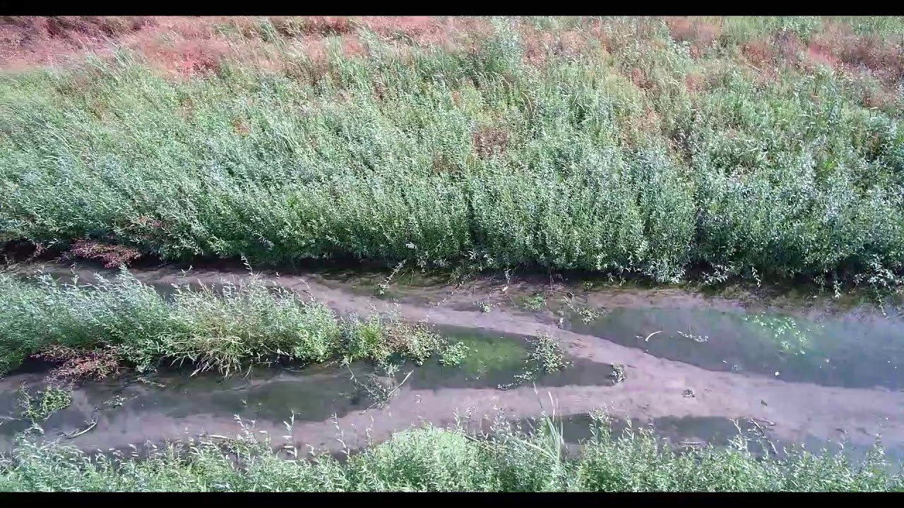 Survol des anciens plans d'eau de Nogent sur Vernisson - année 2017