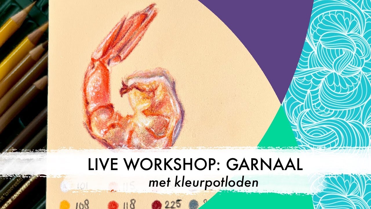 Live workshop 'Garnaal' | kleurpotloden