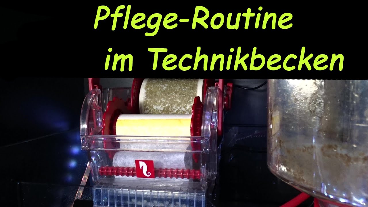 Pflege- Routine im Technikbecken