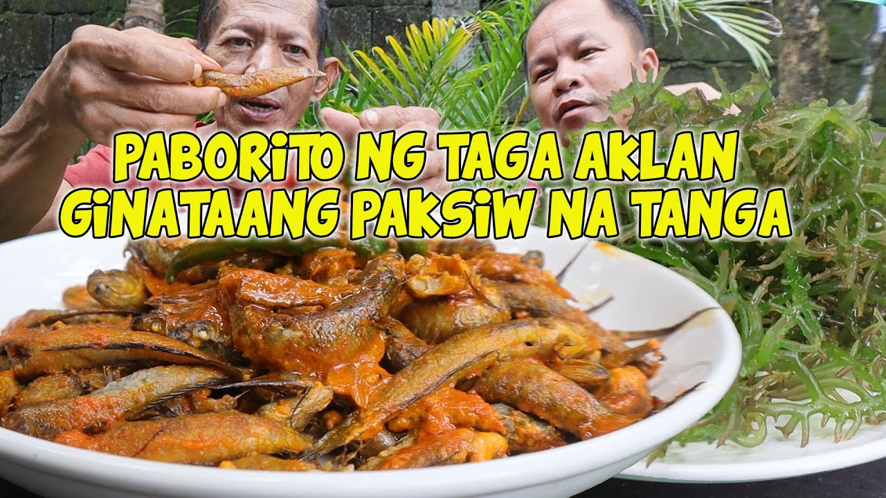 PAKSIW SA GATA NA ISDANG TANGA