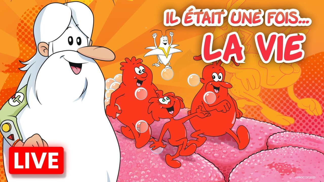 🔴 Il était une fois... La Vie 🧠🦠 En direct ! Explore le corps humain