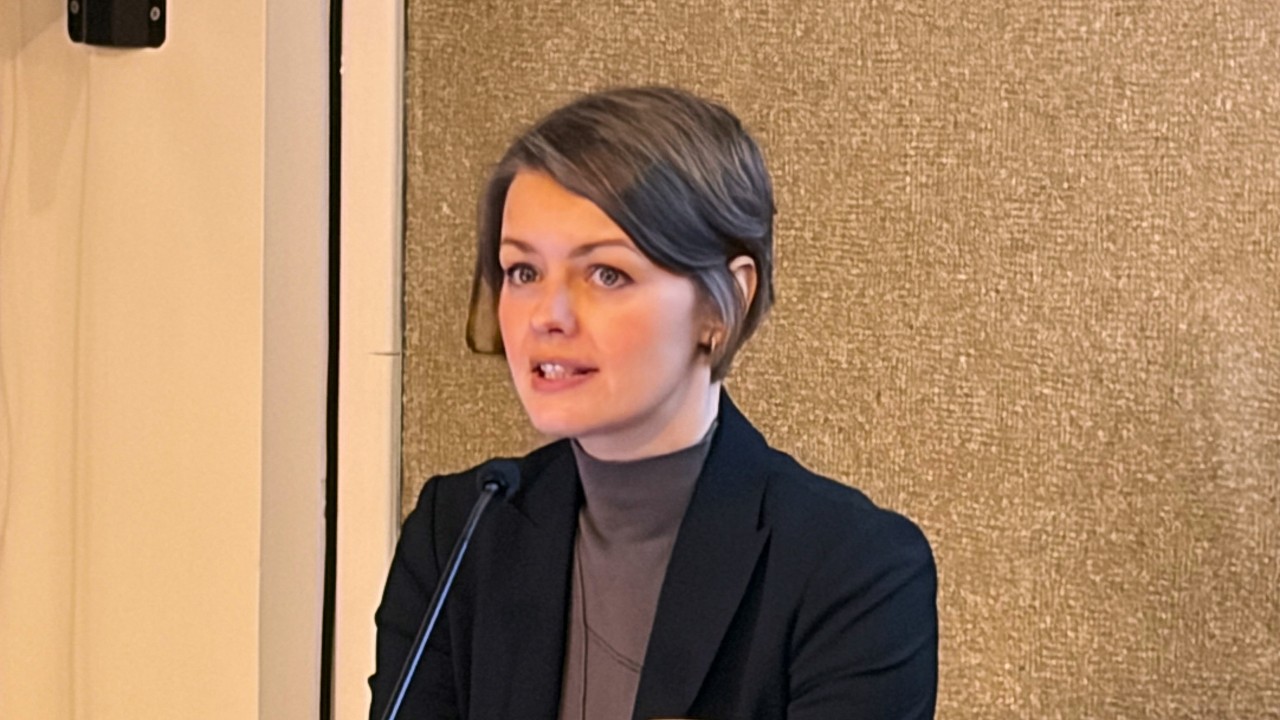 La letteratura ucraina degli anni '20. La ragazza con l'orsacchiotto di V.Domontovyć