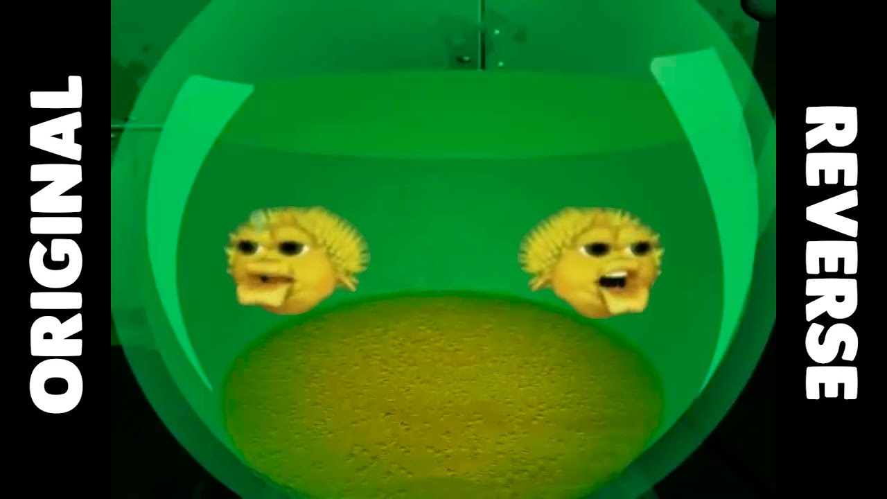 Yellow Singing Pufferfish Original vs Reverse