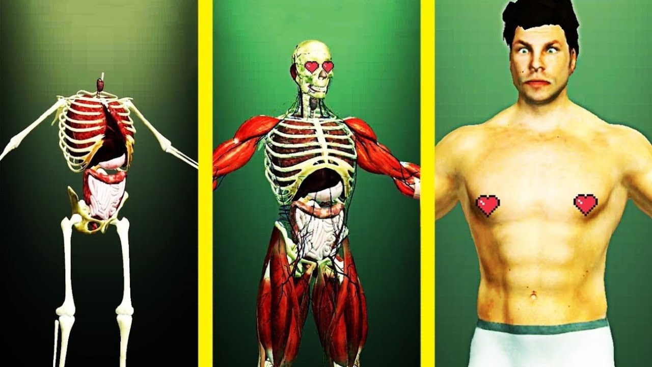 Idle Human Hack ✅ C&aacute;ch để gian lận trong Idle Human ✅ Đ&aacute; Qu&yacute; kh&ocirc;ng giới hạn ✅ iOS & Android