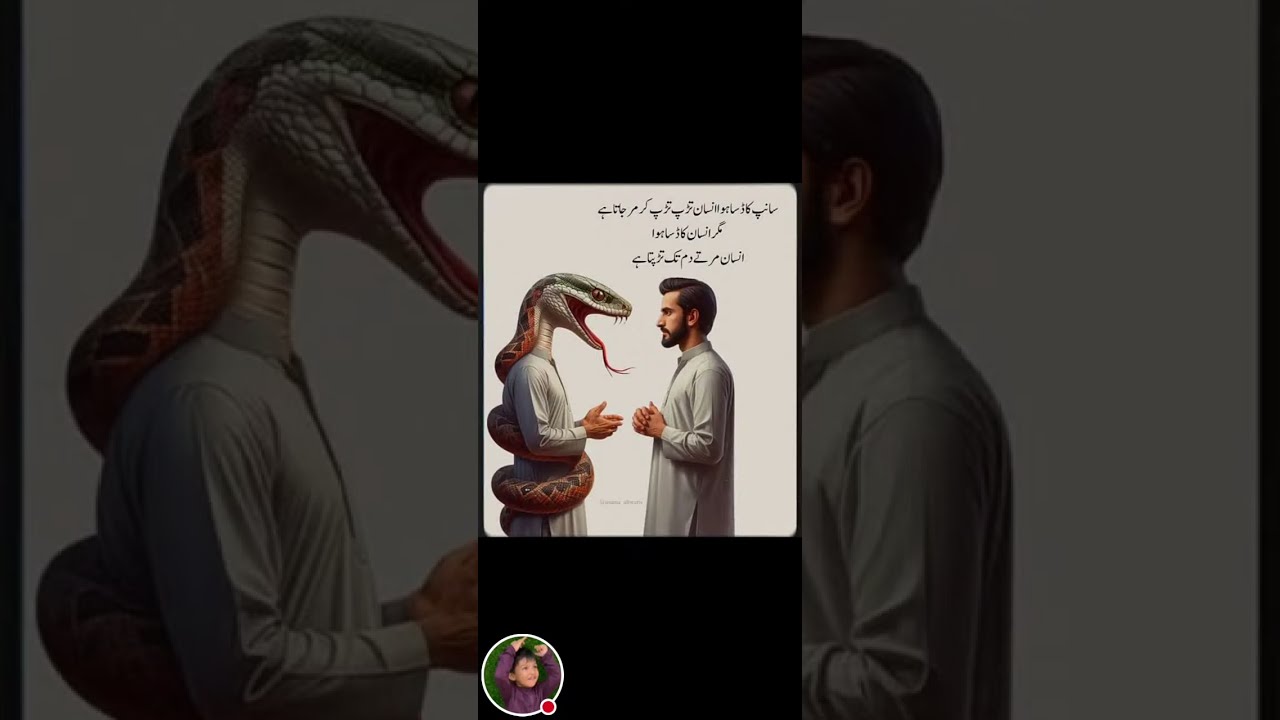 Aik Haqeeqat Par Mabni Baat