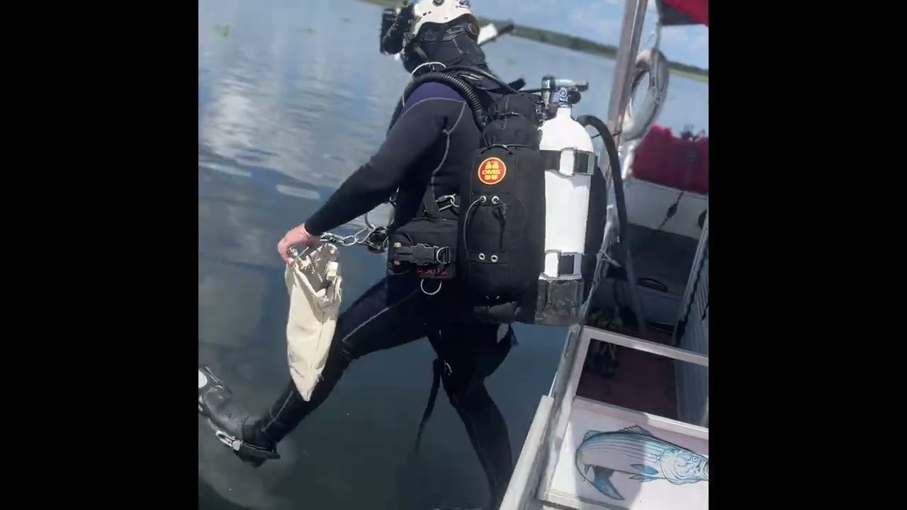 Low country fossil diving