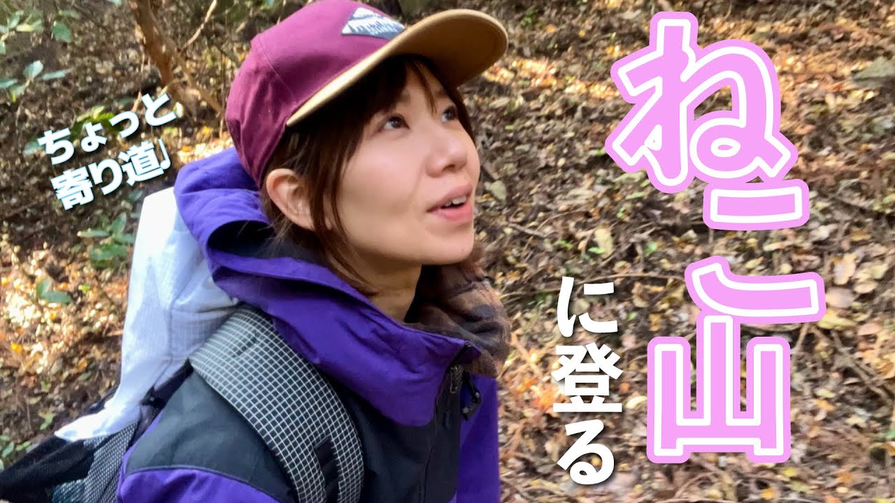 【九州登山】鹿嵐山の隣のねこ山に登る　前編【登山女子】