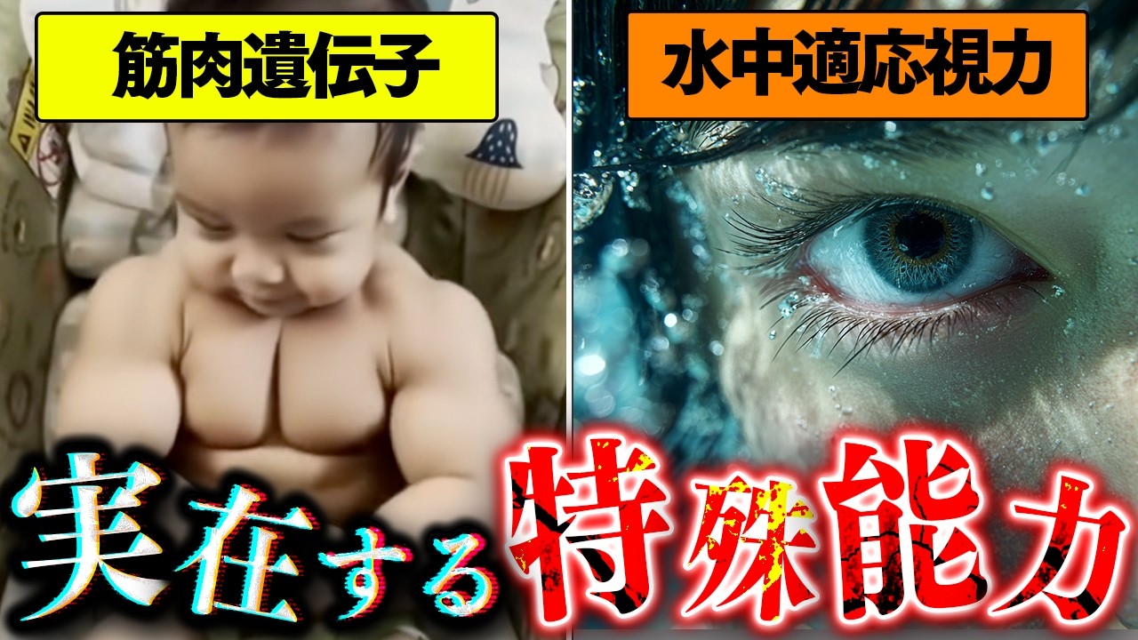 【新作】実在する特殊能力ランキングがツッコミどころ満載だったwwwwww【なろ屋】【ツッコミ】
