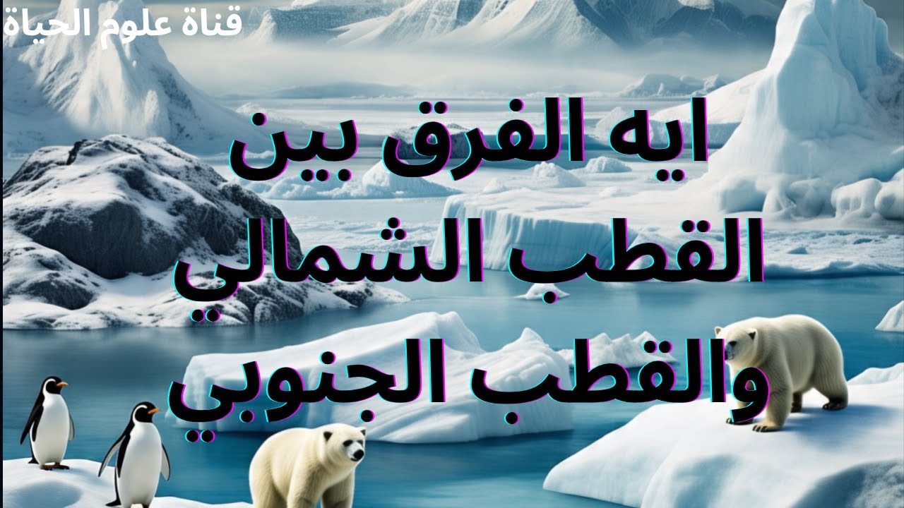 ايه الفرق بين القطب الشمالي والقطب الجنوبي