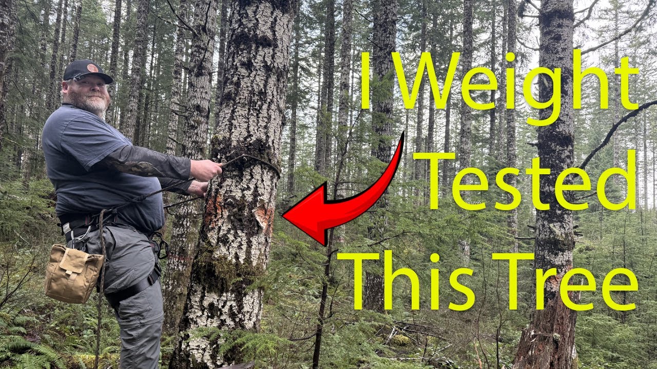 Can Large People Saddle Hunt? Exploring Comfort & Feasibility