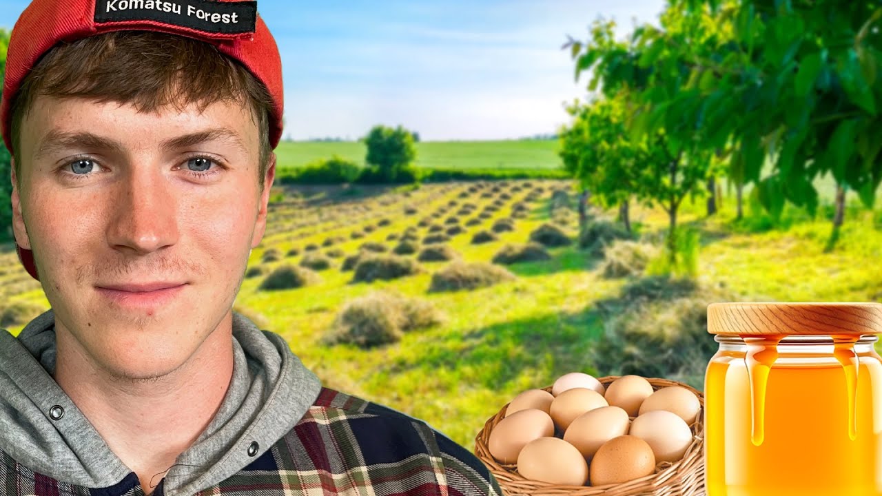Sunny Farm Days: Collecting Honey, Eggs & Gardening