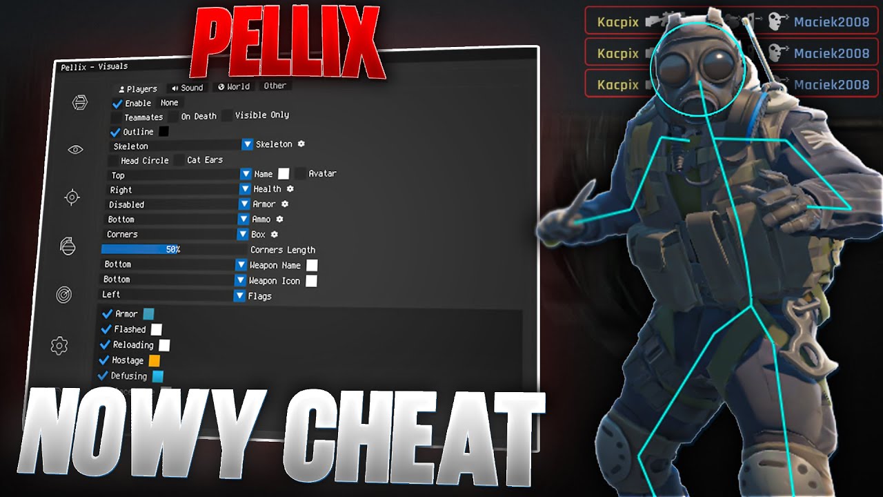 NIEWYKRYWALNY CHEAT DO CS2 W 2025 - PELLIX - Dokładne omówienie i moje doświadczenia