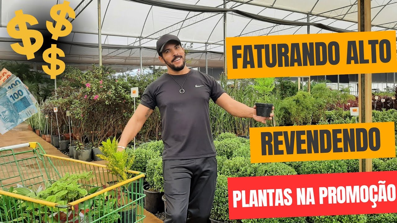 🔥Revenda Plantas Melhor negócio do mundo! Vasos Plantas Decoração GANHE DINHEIRO RENDA EM CASA