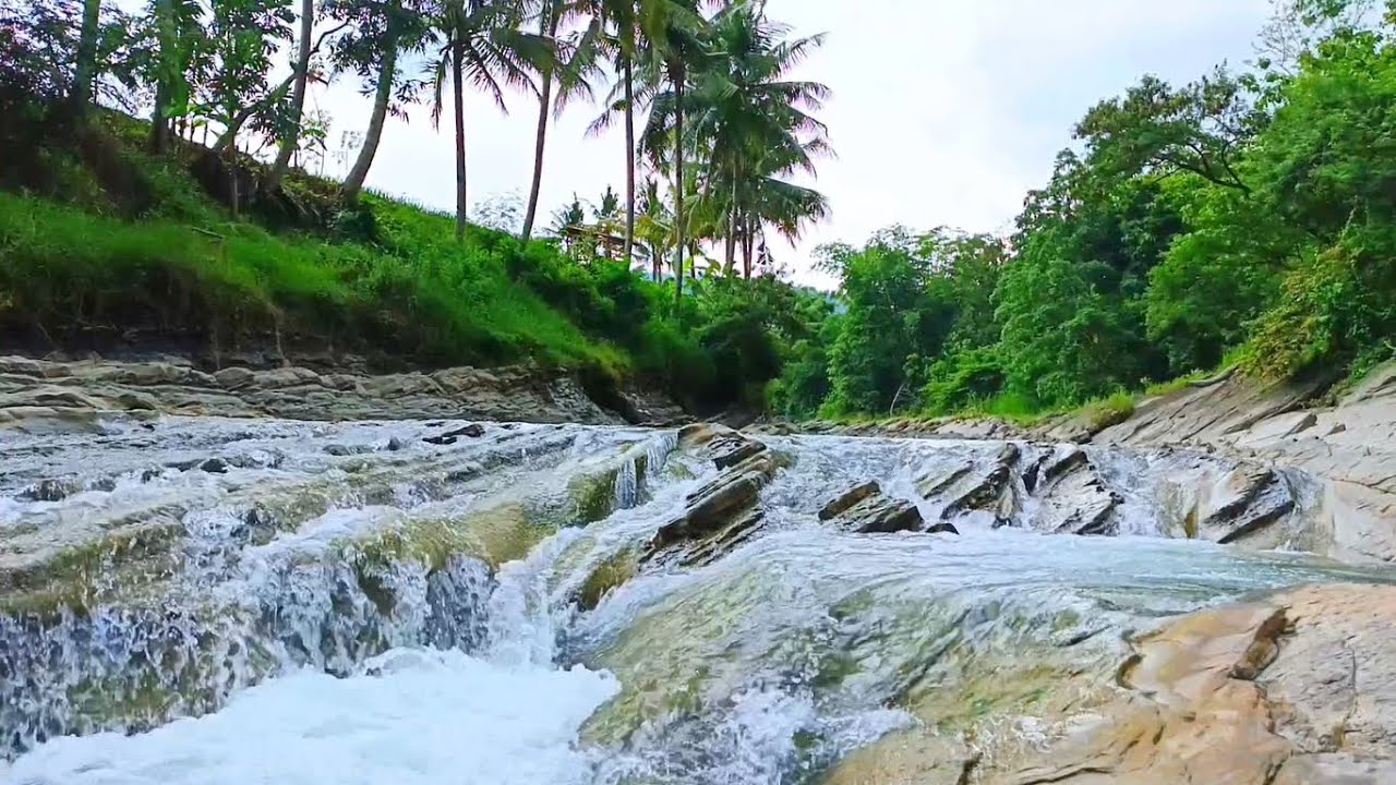 Peaceful River Stream | Natural Water Sounds for Relaxation