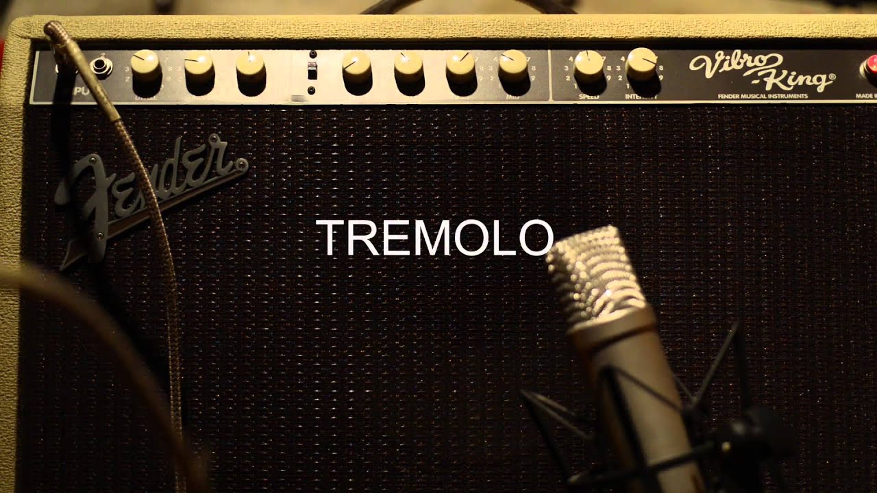 Fender Vibro King