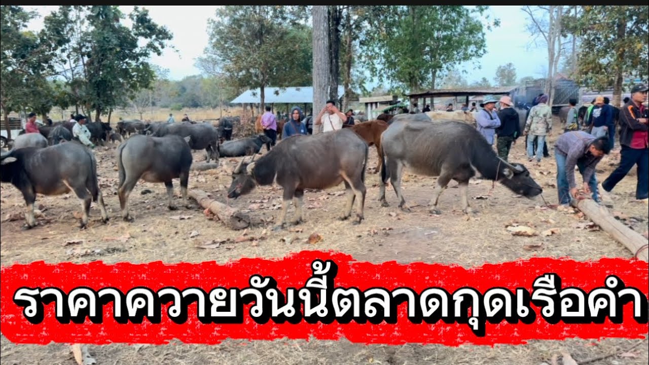 28 มกราคม 2569