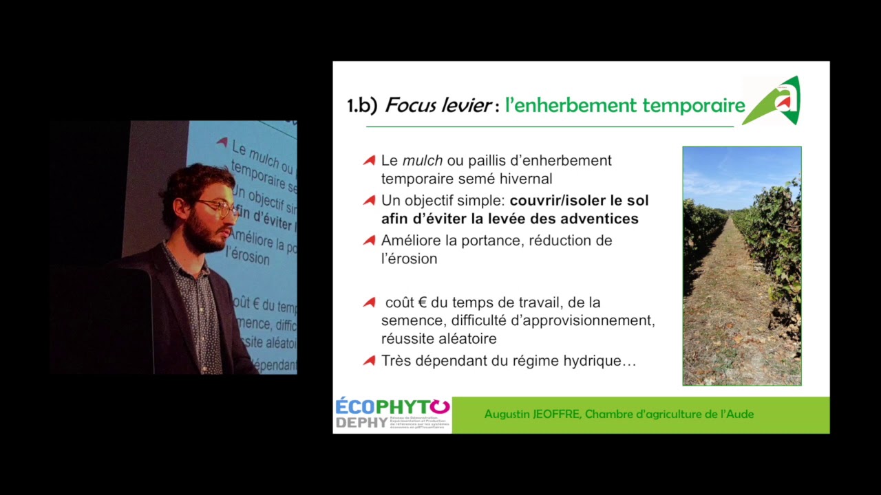 1 - Alternatives au d&eacute;sherbage chimique en viticulture - Groupe DEPHY - Augustin Jeoffre (CA11)