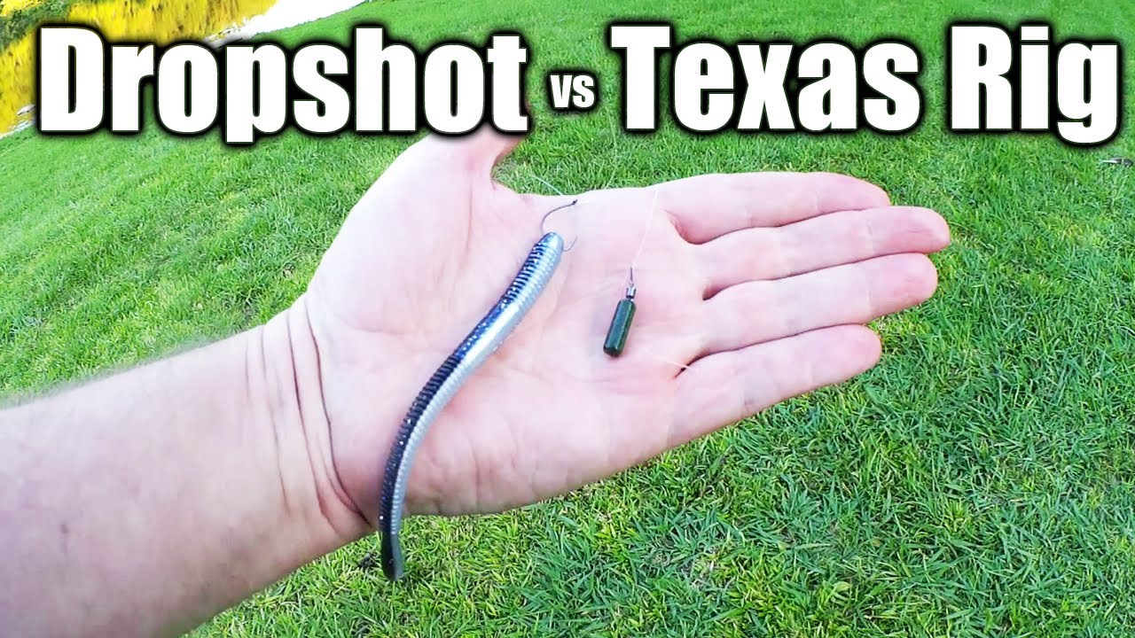 DROP SHOT vs TEXAS RIG - Easy Bass Fishing Rigs That Work!