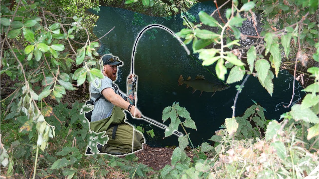 Can't Believe this RIVER GIANT Ate My Perch Lure!