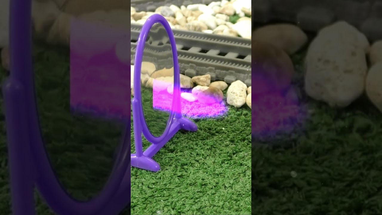 Wizard Funling Tries to make Farmer Funling Laugh but Turns Himself into a Bath ✨🛁 