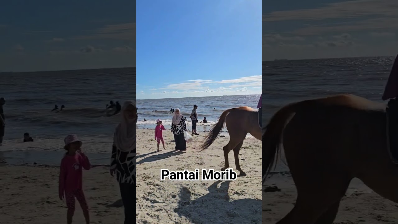 pantai morib #pantaimorib #pantai #jalanjalan #selangor #travel #cuticuti #samsungs23ultra