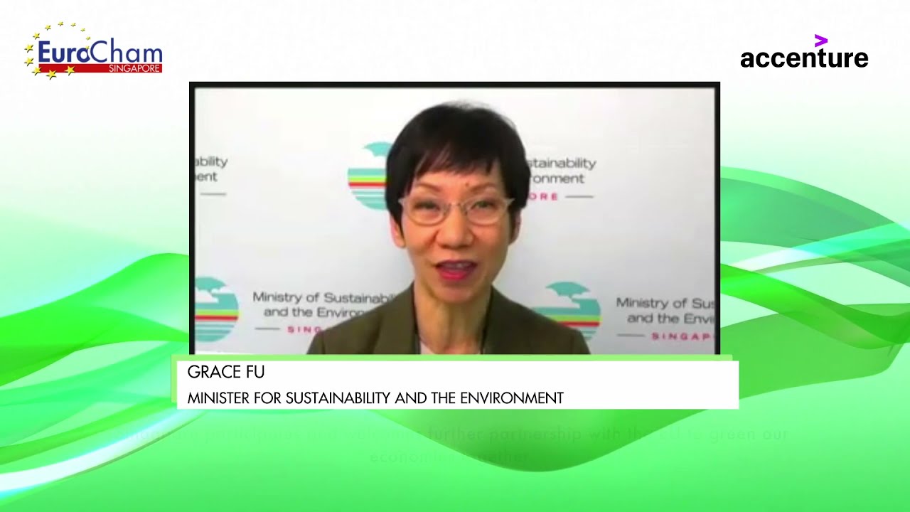 EuroCham Sustainability Programme 2021