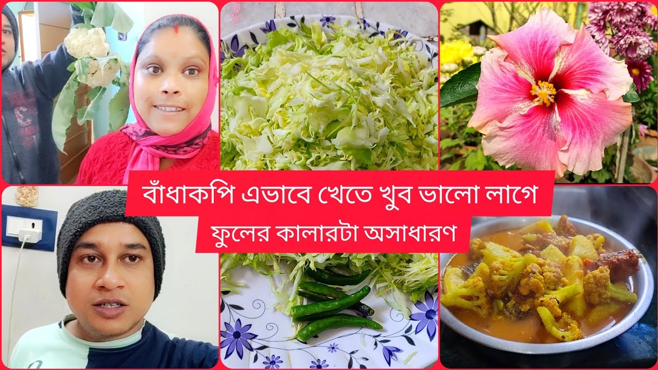 বাধাকপি এভাবে খেতে আমার খুব ভালো লাগে || ছাদ বাগানের ফুলটা এত সুন্দর হয়েছে || 
