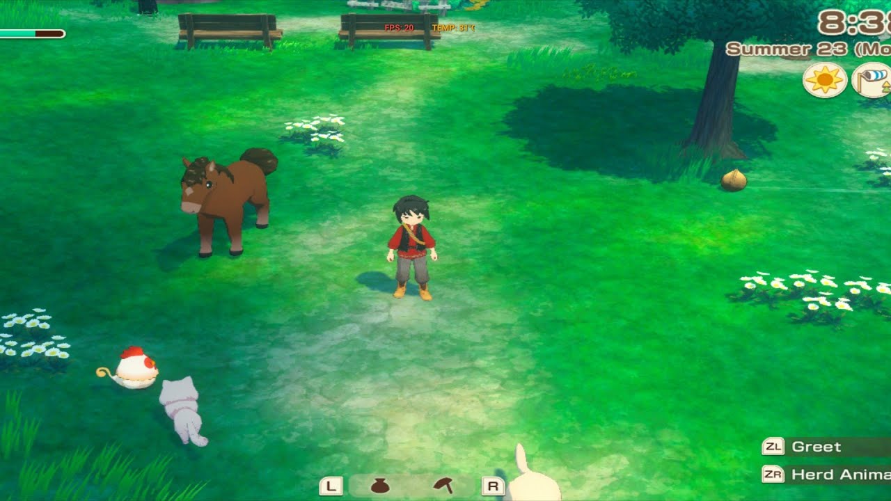Live Story of seasons grand bazar