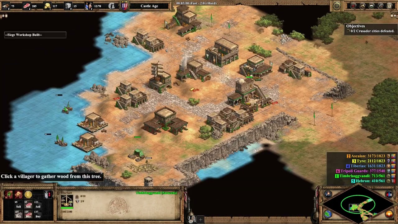 AoE2 Saladin 5: Jihad! Speedrun WR - 