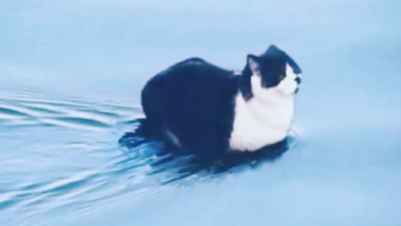 오ㅣㄹㅗ우ㄴ ㄱㅗㅇㅓㅇ이 Pläÿłįșť