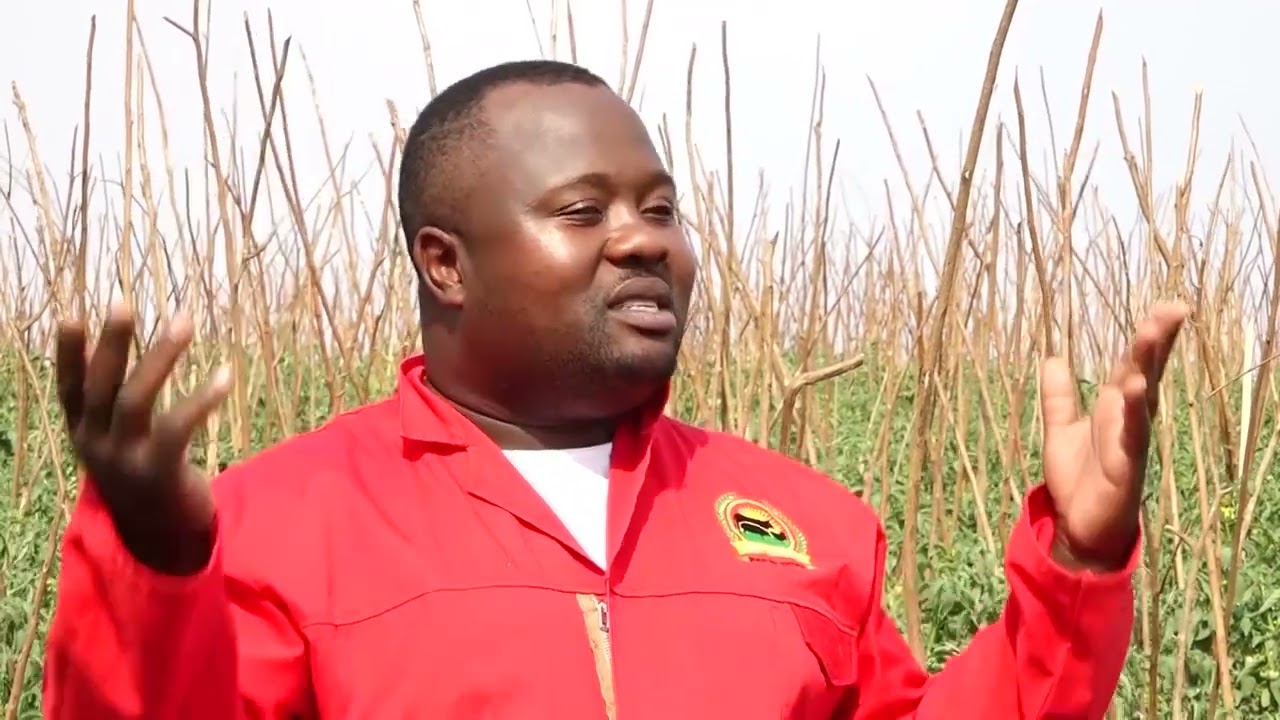 Dziko la Mkaka ndi Uchi - 10 November 2022