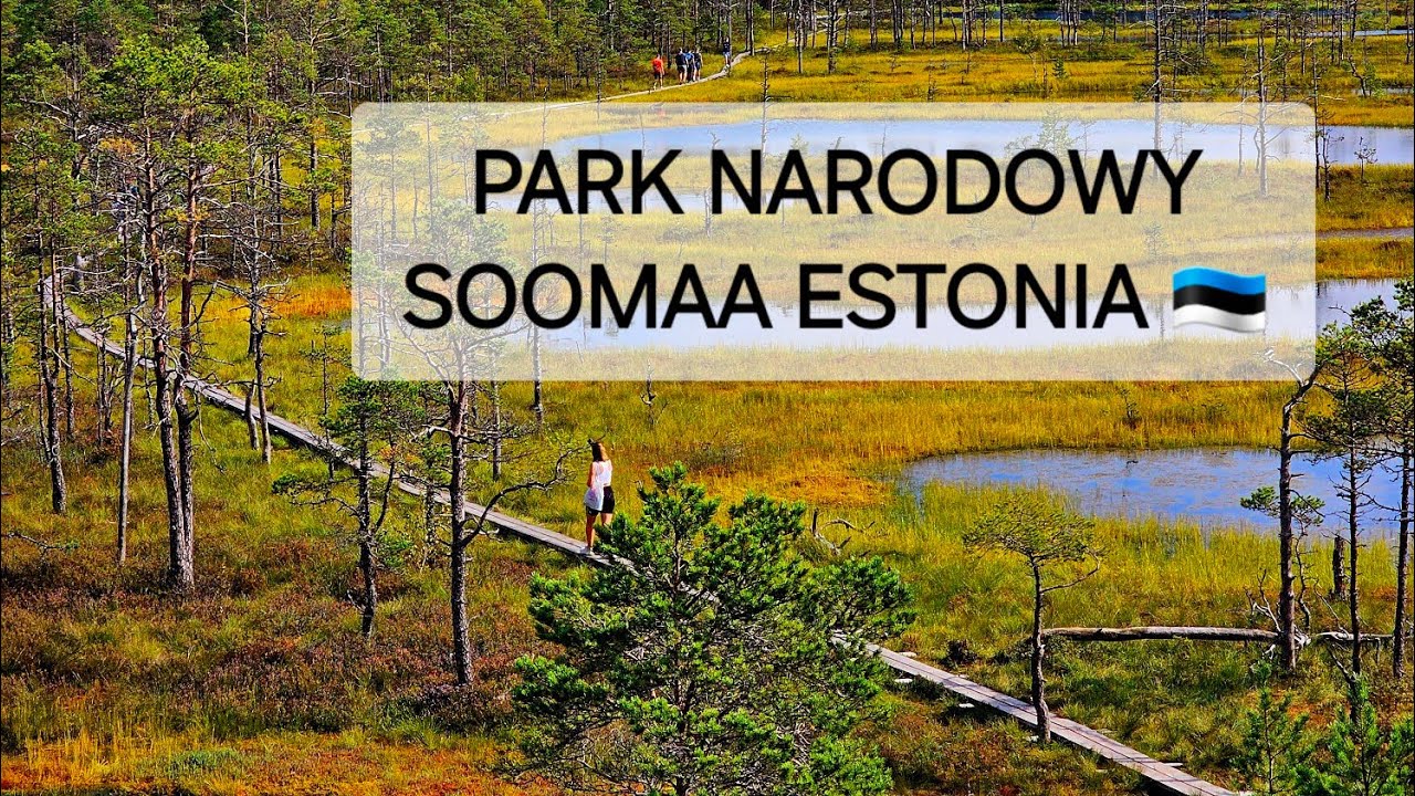 Park Narodowy Soomaa- Estonia