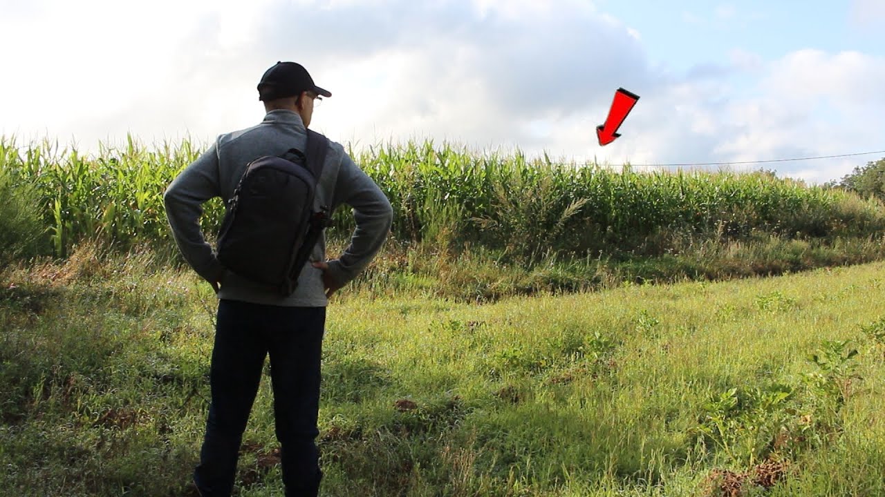 J'AI LAISSE UNE CAMERA DE CHASSE DANS UN CHAMP DE MAÏS !!! CE QU'ELLE A ENREGISTRE EST FLIPPANT.