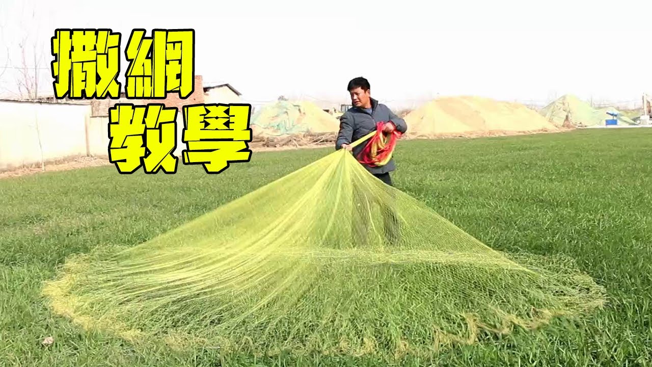 撒網教學！大哥網撒的太養眼，大哥教學撒網、撿網注意事項！【農村漁夫黎明】