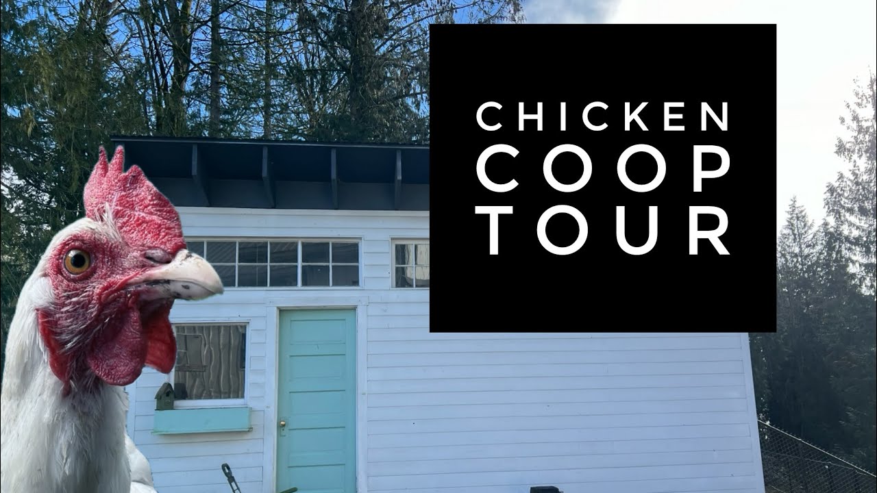 Chicken Coop Tour
