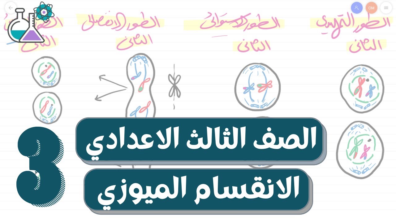 الانقسام الخلوي | الانقسام الميوزي | علوم الصف الثالث الاعدادي الترم الاول