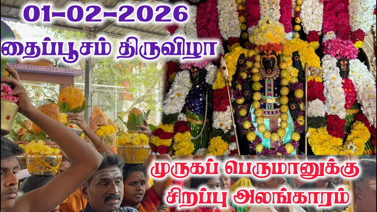 தைப்பூசம் 2026 | முருகப் பெருமானுக்கு சிறப்பு அலங்காரம் & மஹா தீபாராதனை | Live Darshan