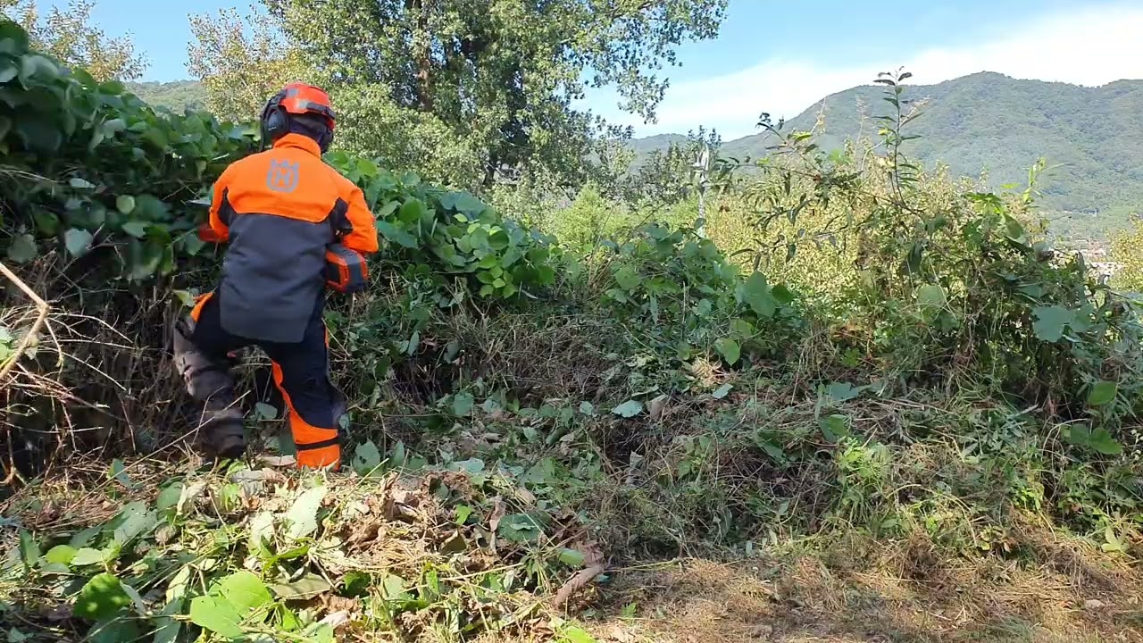Husqvarna Tri cut trimmer head 325iLK Test 허스크바나 트라이컷 테스트