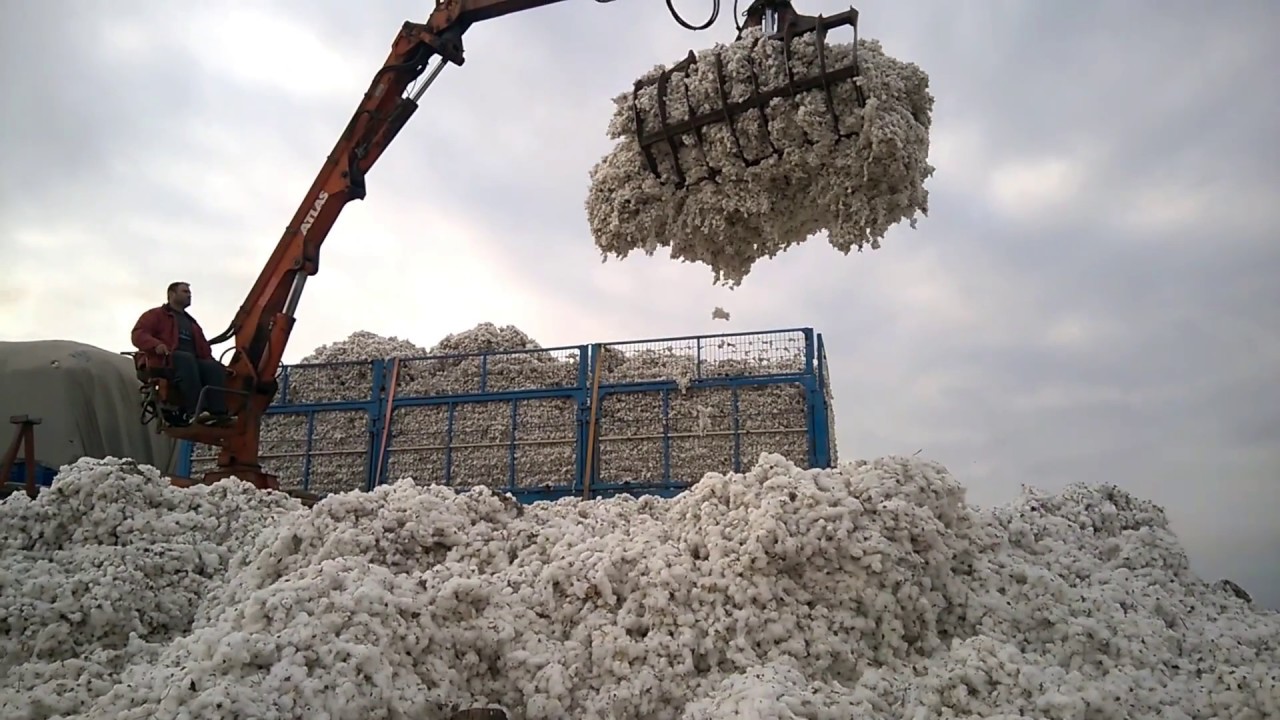 JOHN DEERE 9950 - COTTON HARVEST - &Sigma;&Upsilon;&Lambda;&Lambda;&Omicron;&Gamma;&Eta; &Beta;&Alpha;&Mu;&Beta;&Alpha;&Kappa;&Iota;&Omicron;&Upsilon;