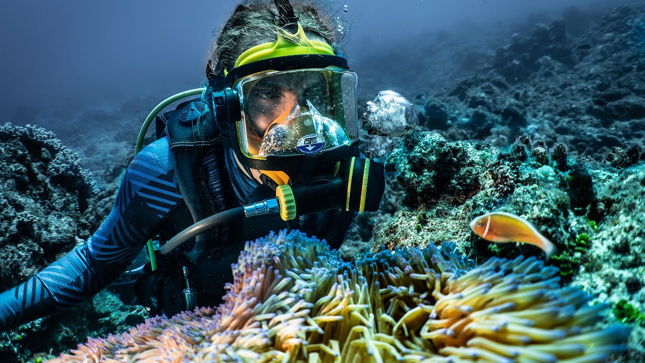 Scuba Diving In Our Own Private Paradise! (Expedition Drenched S1 Ep 52)