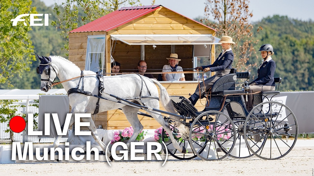 🔴 LIVE | Cones - FEI Driving World Championship fro Single Horses