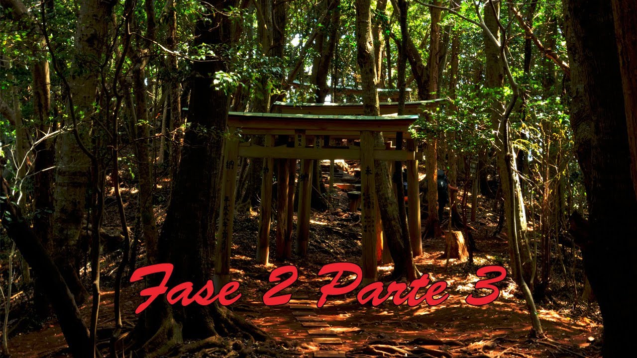 Si riparte! – Pellegrinaggio di Shikoku – Fase 2 Parte 3