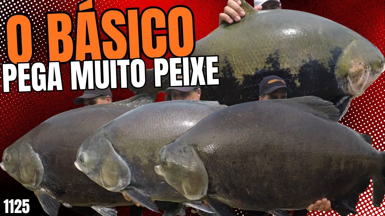 O BÁSICO QUE PEGA MUITO PEIXE NO POINT - FISHINGTUR 1125