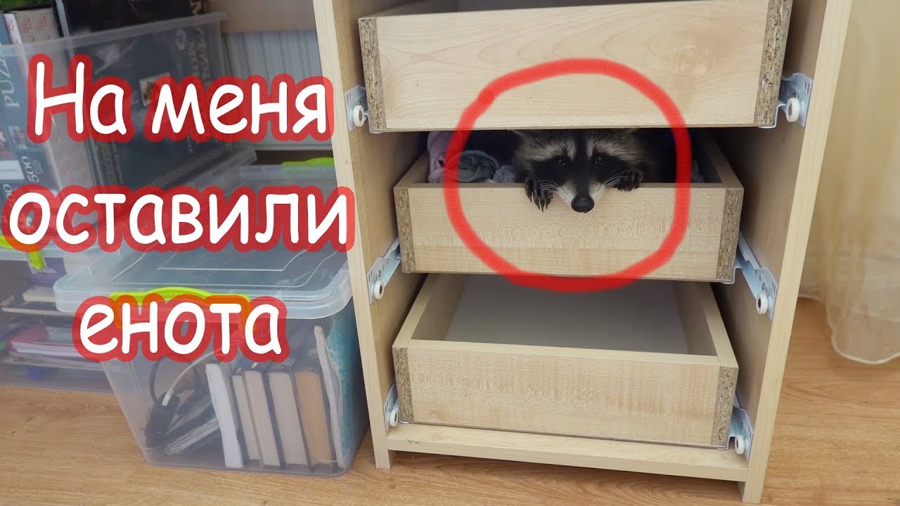 VLOG Почему я расстроилась